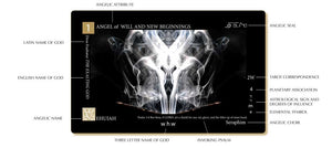 Collectors Edition Deus Angelis Angel Oracle Deck